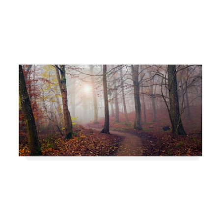 Leif Londal 'Autumn Sun' Canvas Art,12x24